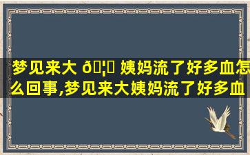 梦见来大 🦟 姨妈流了好多血怎么回事,梦见来大姨妈流了好多血怎么回事,弄脏 🌼 了亲戚家的沙发
